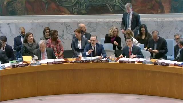 Maas at Security Council